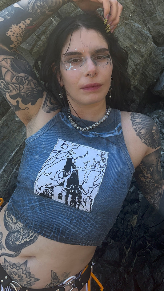 Reworked top s-m