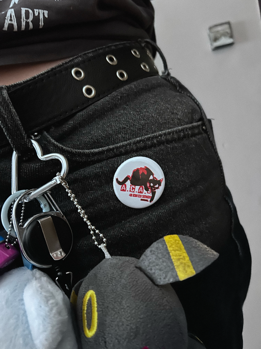 ACAB pin