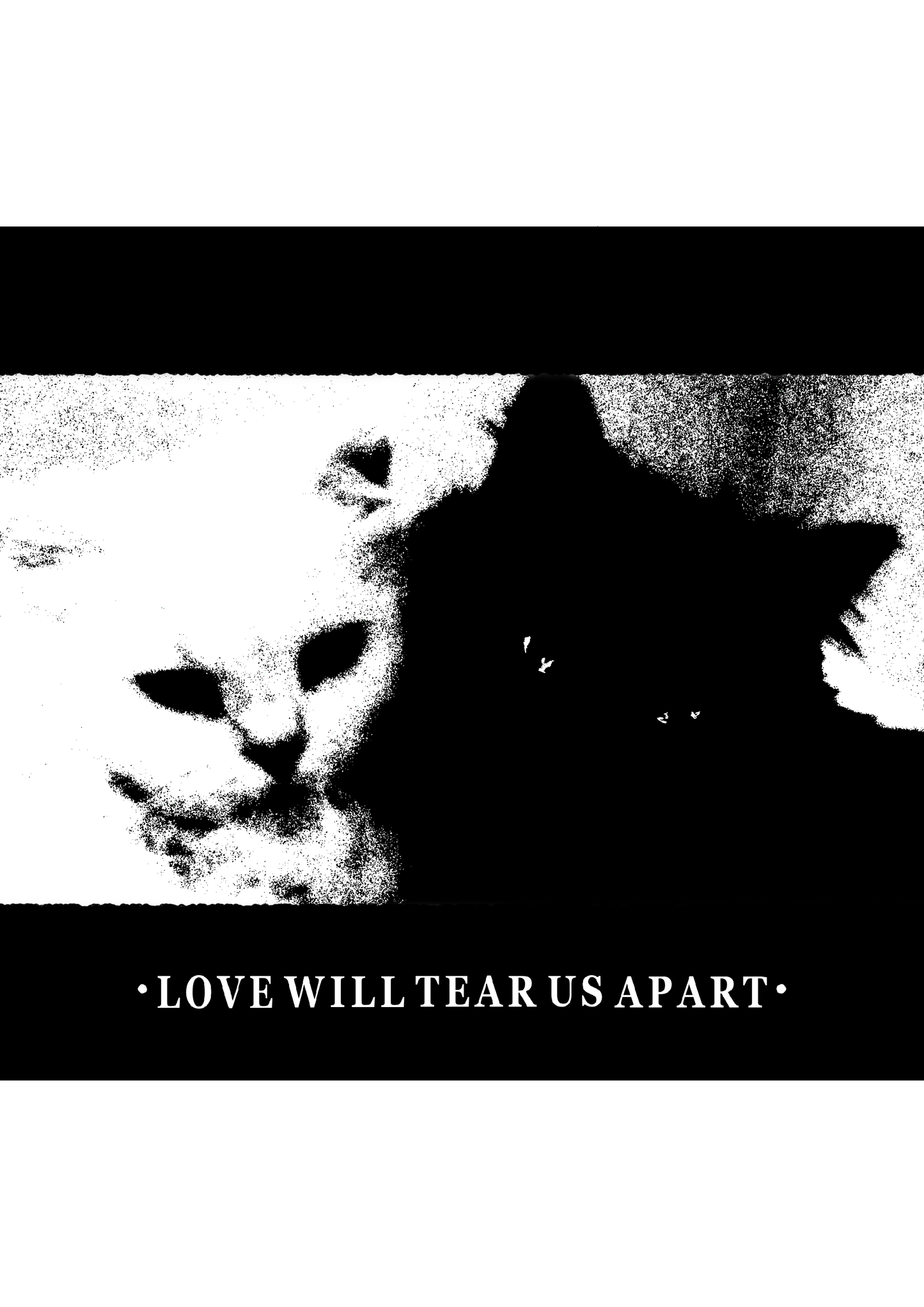 "Love Will Tear us Apart" Alternative T-Shirt (Pre-order)